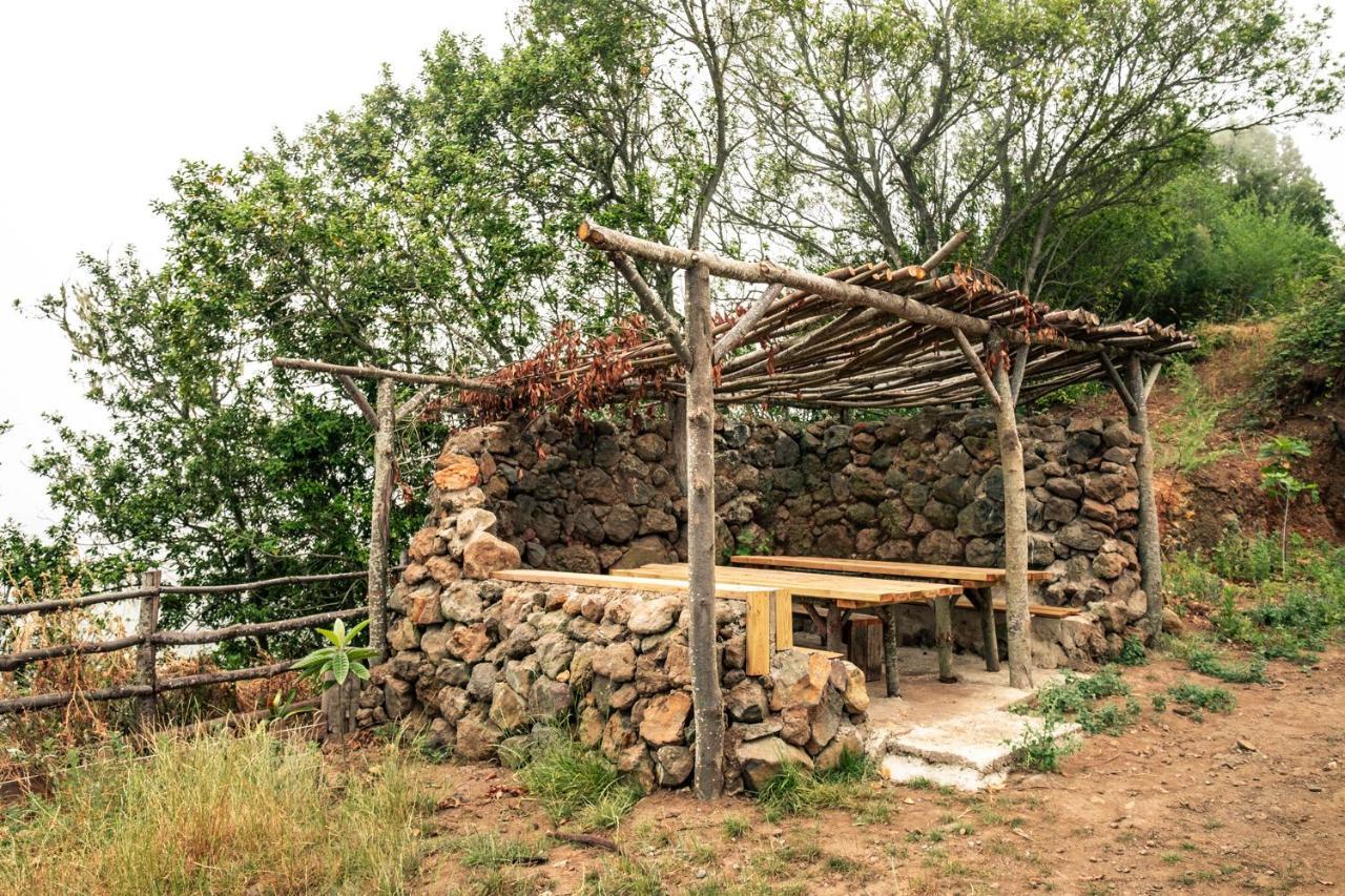 El Pino Centenario 4 Los Realejos Esterno foto