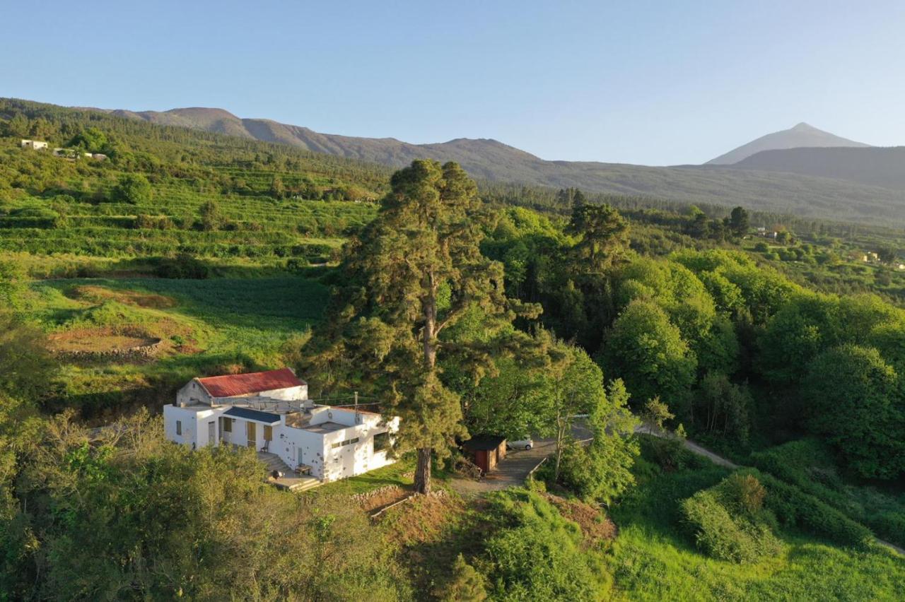 El Pino Centenario 4 Los Realejos Esterno foto